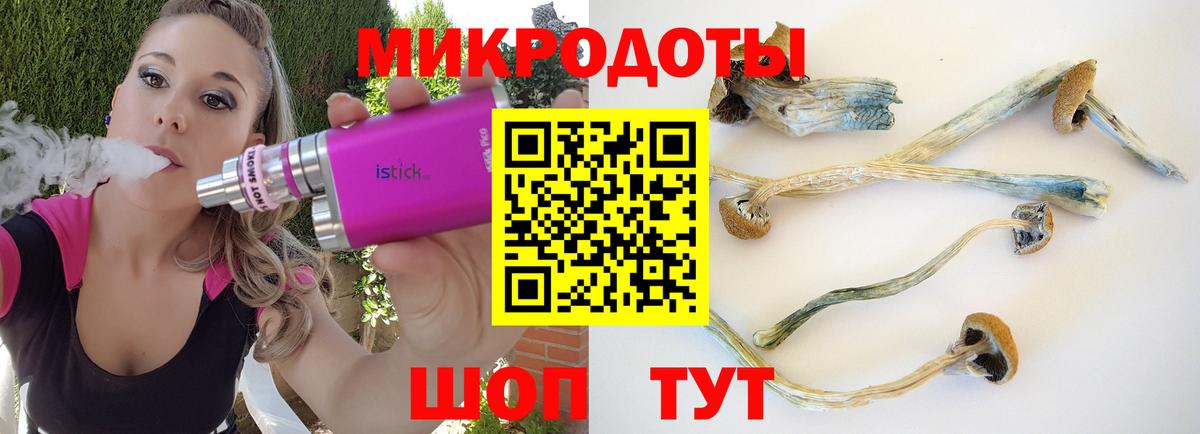 Псилоцибиновые грибы мицелий Комсомольск-на-Амуре